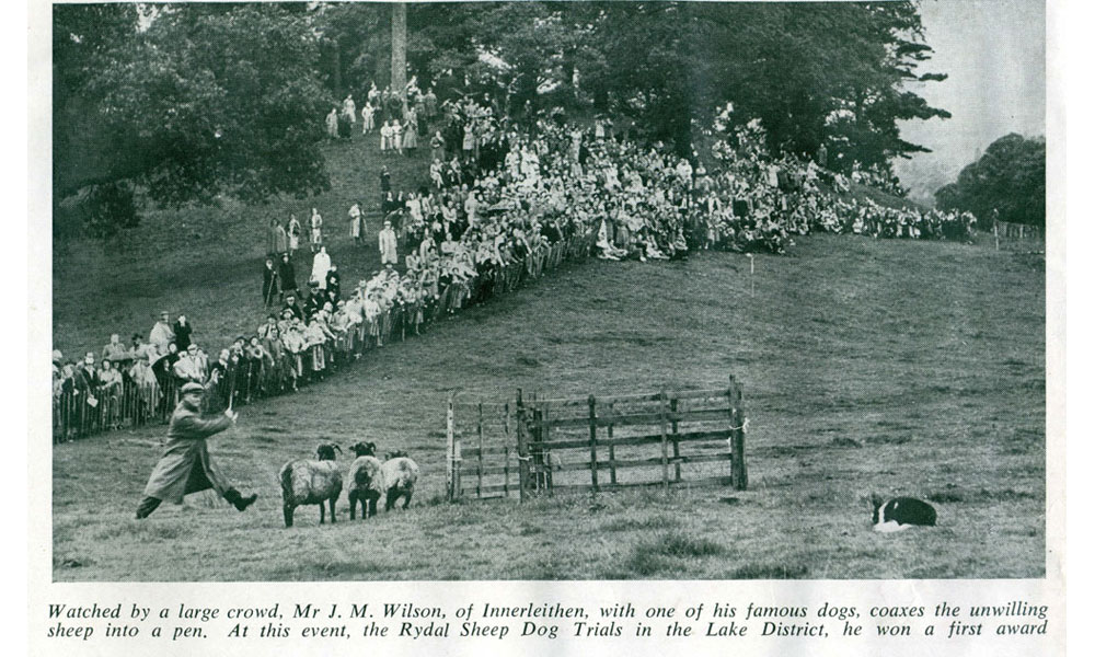 1949 Rydal Show sheepdog trials