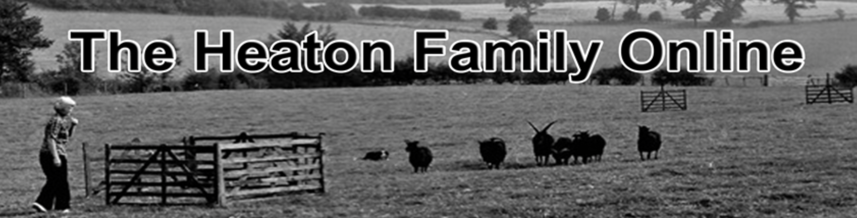 Heatonfamilyonline